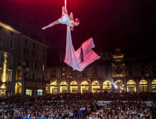 Scalando tessuti Silvia è salita sulla vetta italiana della danza aerea.